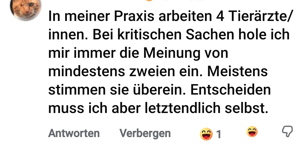„4 TIERÄRZTE IN EINER PRAXIS = 4 UNABHÄNGIGE MEINUNGEN?“ – DIE GROSSE ILLUSION DER ZWEITMEINUNG! 🤦♂️🩺