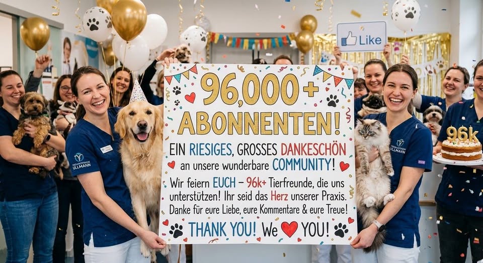 WEIT ÜBER 96.000 ABONNENTEN: EIN RIESIGES DANKESCHÖN AN UNSERE COMMUNITY – UND WARUM ES BEI UNS AUCH WEITERHIN HARTE OHRFEIGEN IN DEN KOMMENTAREN GIBT!