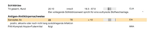 MONATELANG AUF „ALLERGIE“ UND KORTISON BEHANDELT, WÄHREND DIE MILBEN HUND UND HALTERIN AUFFRASSEN! 🩸🐕💥